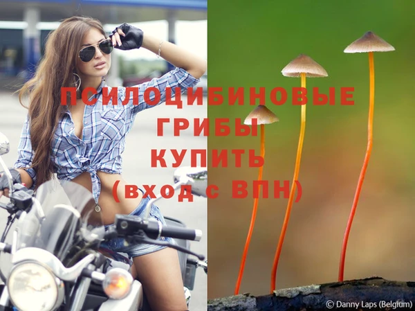 а пвп мука Медвежьегорск
