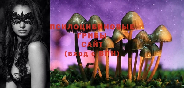 а пвп мука Медвежьегорск