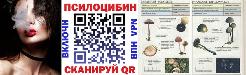 Псилоцибиновые грибы MAGIC MUSHROOMS Каневская